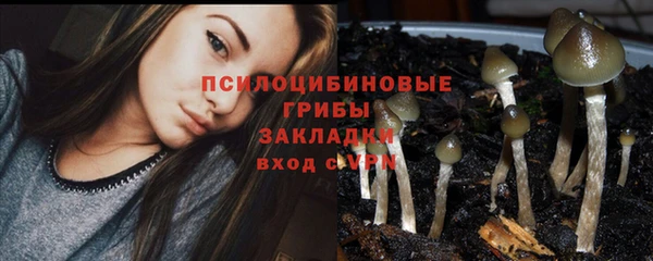 прущая мука Алексин